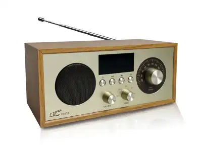 Radio przenośne Brda FM/BT/USB akum.2200mAh,10W,ładowanie indukcyjne telefonu,jasny brąz/złote