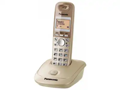 Telefon Panasonic KX-TG2511PDJ